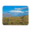 Search for high up magnets Outdoors