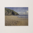 Search for footprints in the sand puzzles Landscape