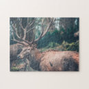 Search for deer hunting puzzles Antlers