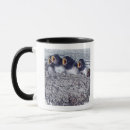 Search for barn swallow mugs Animal