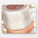 Search for spine mouse mats People
