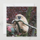 Search for serene square invitations Nature