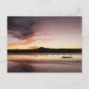 Search for flamingo postcards Lagoon