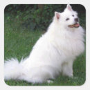 Search for american eskimo dog stickers Puppy