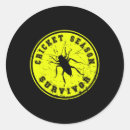 Search for cricket bat and ball stickers Run chase