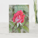 Search for beautiful red rose birthday cards Garden