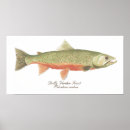 Search for trout art Salmon