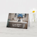 Search for chihuahua birthday cards Cute