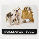 Search for dog rule electronics Canine