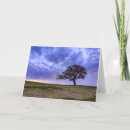 Search for lonely tree cards Clouds