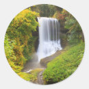 Search for silver state stickers Forest