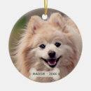 Search for pomeranian christmas tree decorations Cute