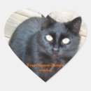 Search for trapped stickers Cat