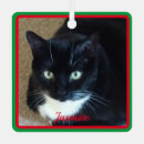 Search for pet name christmas tree decorations Green