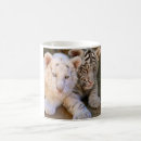 Search for bengal drinkware Photograph