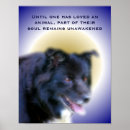 Search for border collie quote Inspirational