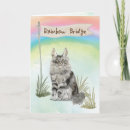 Search for maine coon cards Pet