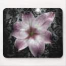 Search for mysteries mouse mats Abstract