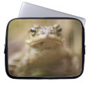 Search for toad laptop cases Pond