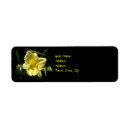 Search for daylily return address labels Flower