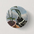 Search for tabby badges Cute