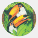 Search for toucan bird stickers Toco