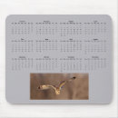 Search for ears mouse mats Nature