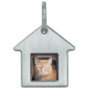 Search for cat supplies Cute
