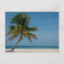 Search for belizean postcards Superstock