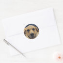 Search for handsome stickers Dog