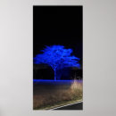 Search for tints photography Nature
