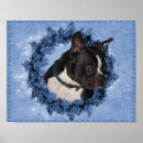 Search for boston terrier art Flowers