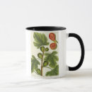 Search for fig tree mugs Botanical
