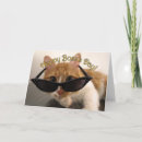 Search for happy boss day postcards Celebrate
