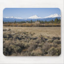 Search for covering mouse mats Outdoors
