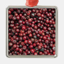 Search for cranberry christmas tree decorations Food