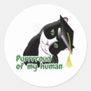 Search for cat graduation stickers Congratulations