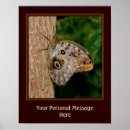 Search for brown tree posters Nature