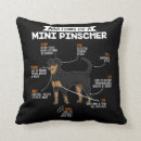 Search for mini cushions Dog