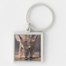 Search for deer stand key rings Wildlife