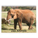 Search for zoo animal calendars Giraffe