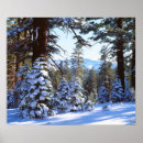 Search for snow covered trees posters Cold