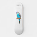 Search for bird comp skateboards Budgerigar