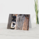 Search for puppy nose cards Cute