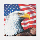 Search for democracy magnets Flag