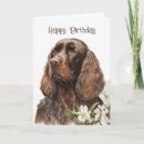 Search for cocker spaniel birthday cards cute