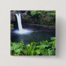 Search for lush badges Tropical