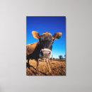 Search for being single posters Animal