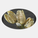 Search for lily oval stickers Lilies