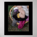 Search for yarn posters Sheep